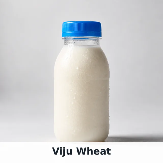 Viju Wheat