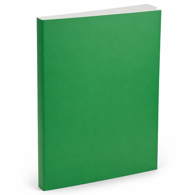 JAMB Government Past Questions and Answers Workbook