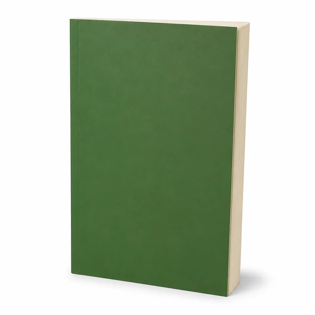 How to Be a Nigerian by Elnathan John Paperback